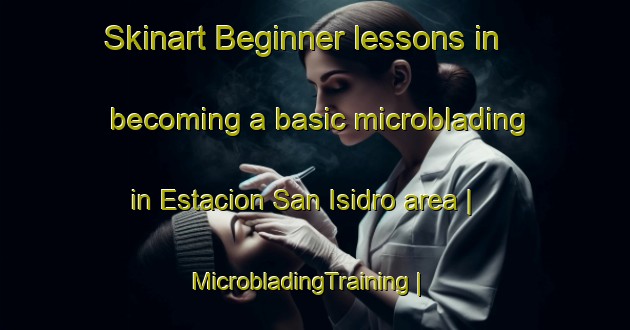 Skinart Beginner lessons in becoming a basic microblading in Estacion San Isidro area | MicrobladingTraining | MicrobladingClasses | SkinartTraining-Mexico
